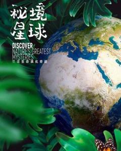京酱杏鲍菇的做法?-专业问答网站
