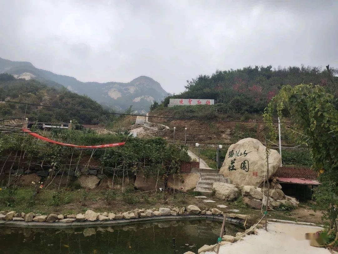 燃烧吧大脑免广告最新版