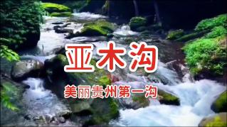 创作猫