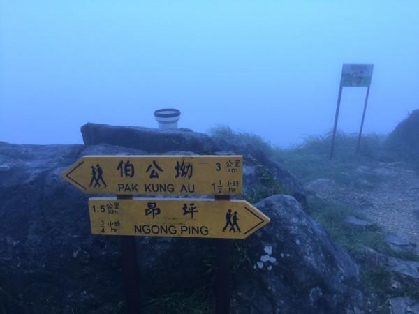 全民剧本大师内置菜单